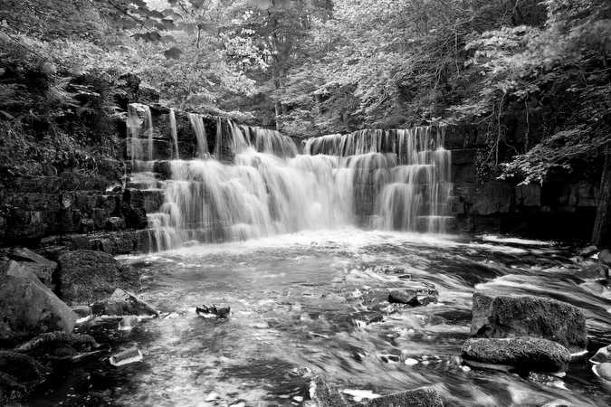 Natures Wall - Lower Whitfield Gill, near Askrigg, Wensleydale