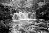 Natures Wall - 