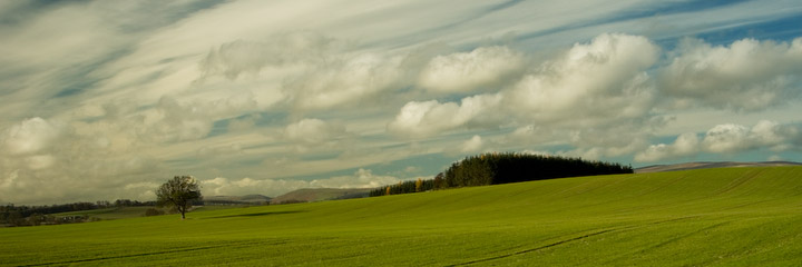 Windy Day at Lorbottle - Gusts and Showers near Thropton, Northumberland