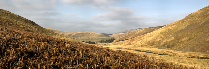 Winter gives way - Winter breaks its hold, Bygate Hall, Northumberland National Park