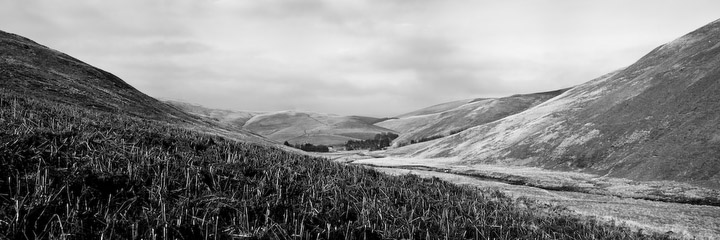 Winter gives way (B&W) - Winter breaks its hold, Bygate Hall, Northumberland National Park