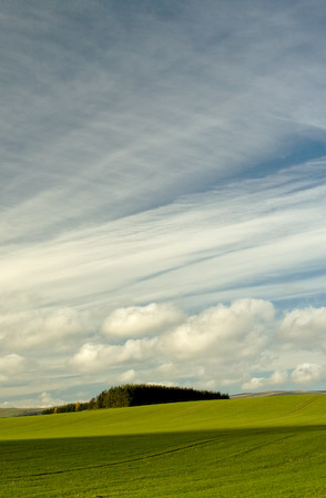 Windy Day at Lorbottle II - Gusts and Showers near Thropton, Northumberland