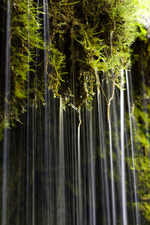 After the Storm - Moss at waterfall near Askrigg, Wensleydale