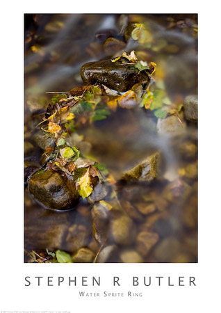 Water Sprite Ring - Autumn leaves left in a circle of stones by a waterfall